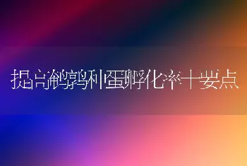 提高鹌鹑种蛋孵化率十要点