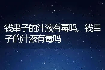 钱串子的汁液有毒吗