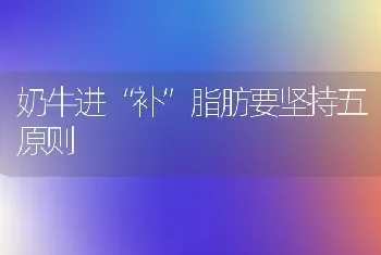 奶牛进“补”脂肪要坚持五原则