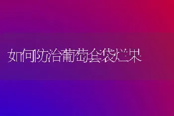 生长后期这样管甘薯质量双提升