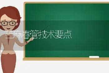 苎麻春管技术要点