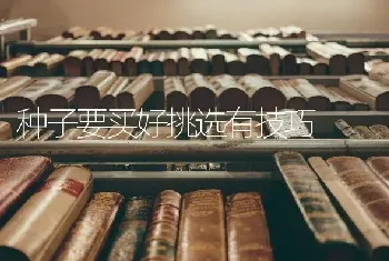 种子要买好挑选有技巧