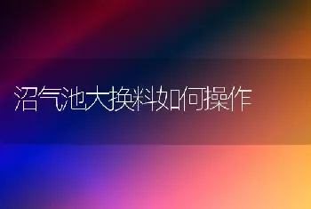 沼气池大换料如何操作