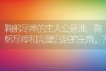 鞠躬尽瘁的主人公是谁