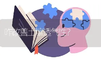 咋改善土壤透气性?