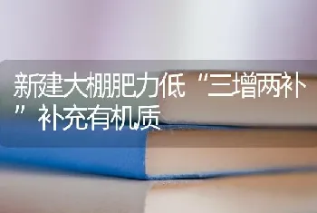 新建大棚肥力低“三增两补”补充有机质