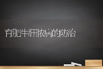 育肥牛肝脓病的防治