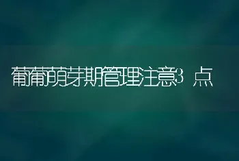 葡葡萌芽期管理注意3点