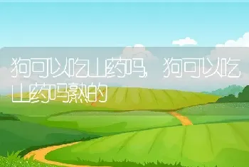 狗可以吃山药吗,狗可以吃山药吗熟的