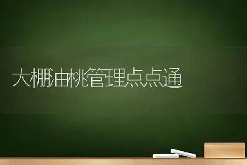 大棚油桃管理点点通