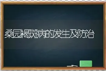 桑园褐斑病的发生及防治