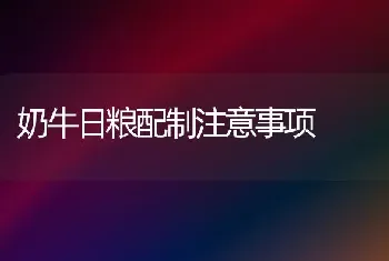 奶牛日粮配制注意事项