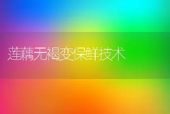 莲藕无褐变保鲜技术