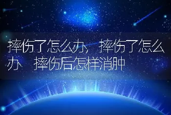 摔伤了怎么办,摔伤了怎么办 摔伤后怎样消肿