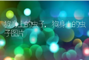 野生动物保护日