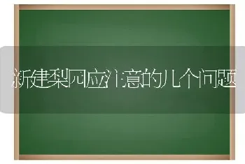 新建梨园应注意的几个问题