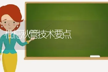 枇杷秋管技术要点