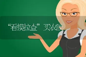 “看摸拉查”买农膜