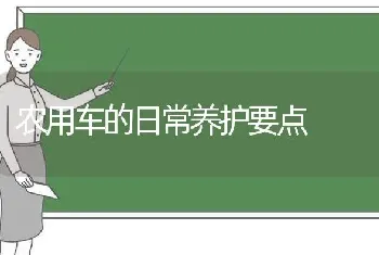 农用车的日常养护要点