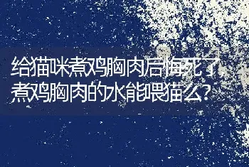 给猫咪煮鸡胸肉后悔死了