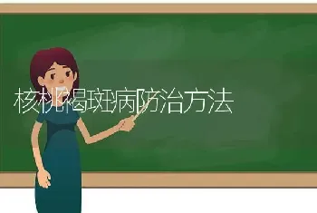 核桃褐斑病防治方法