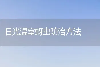 日光温室蚜虫防治方法