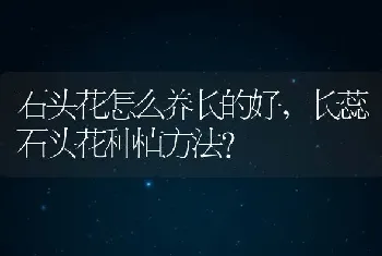 石头花怎么养长的好