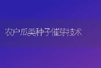 农户瓜类种子催芽技术