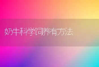 奶牛科学饲养有方法