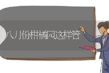 八月份柑橘园这样管