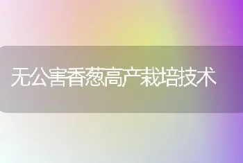 无公害香葱高产栽培技术