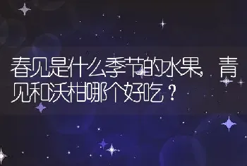 春见是什么季节的水果