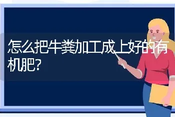 怎么把牛粪加工成上好的有机肥?