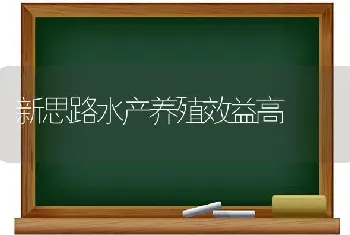 新思路水产养殖效益高