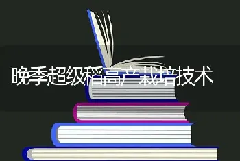 晚季超级稻高产栽培技术