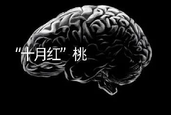 “十月红”桃