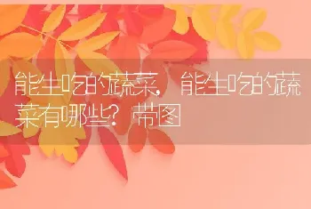 能生吃的蔬菜,能生吃的蔬菜有哪些?带图