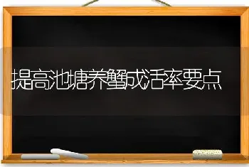 提高池塘养蟹成活率要点