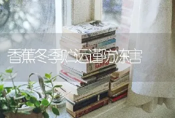 香蕉冬季贮运谨防冻害