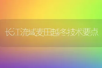 长江流域麦田越冬技术要点