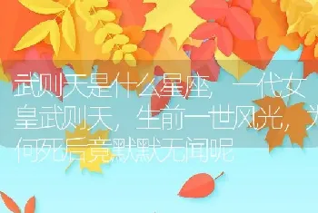 武则天是什么星座