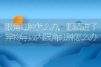 眼角红肿怎么办,眼睛进了异物导致内眼角红肿怎么办