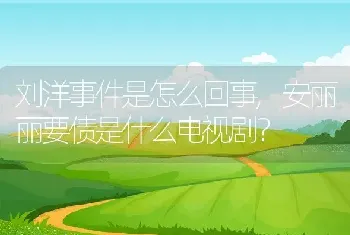 刘洋事件是怎么回事