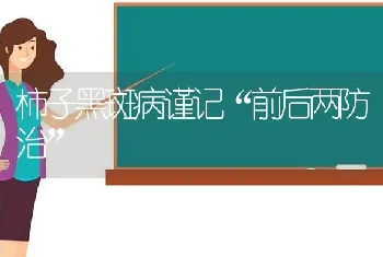 柿子黑斑病谨记“前后两防治”