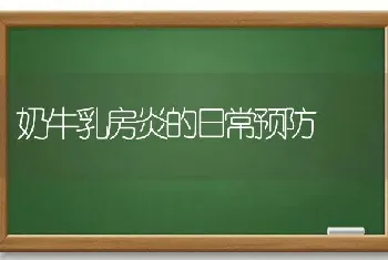 奶牛乳房炎的日常预防