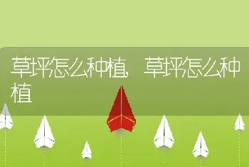 草坪怎么种植