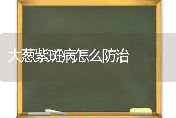 大葱紫斑病怎么防治