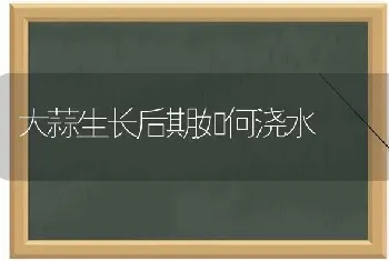 大蒜生长后期如何浇水