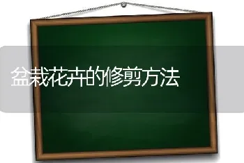 盆栽花卉的修剪方法