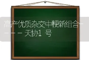 高产优质杂交中粳新组合----天协1号